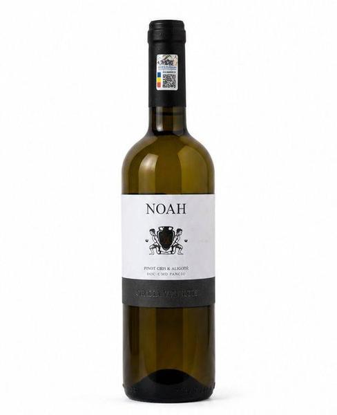 Pinot Gris Valente